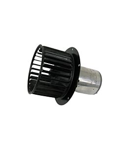 95217R