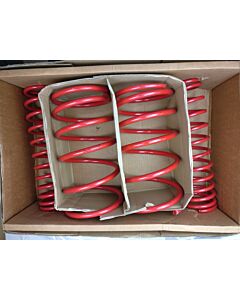 Verlagingsveren Set S40, X40 -1999 DET-ILS040 